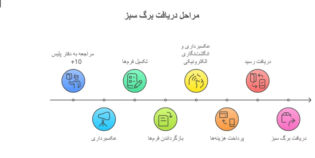 تصویر شماتیک مراحل دریافت برگ سبز